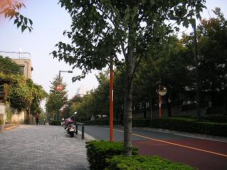 b0007421_11201837.jpg