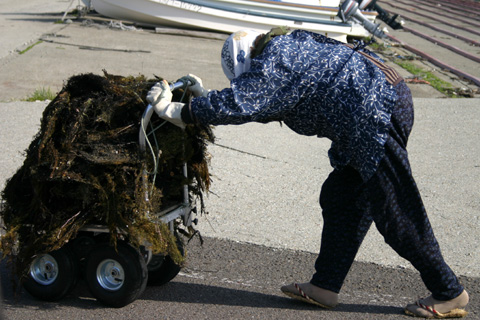 a0008508_033814.jpg