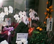 b0044209_12181325.jpg
