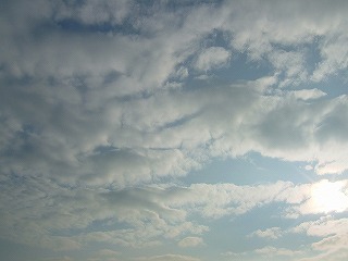 a0034419_160432.jpg