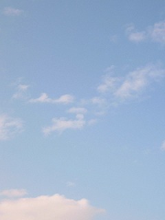 a0034419_1604895.jpg