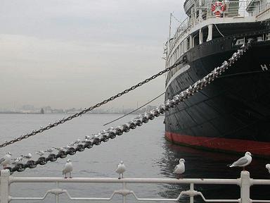 b0052429_112088.jpg