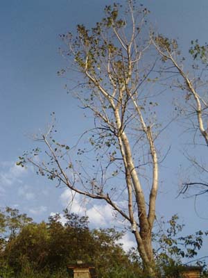 b0058229_9551520.jpg