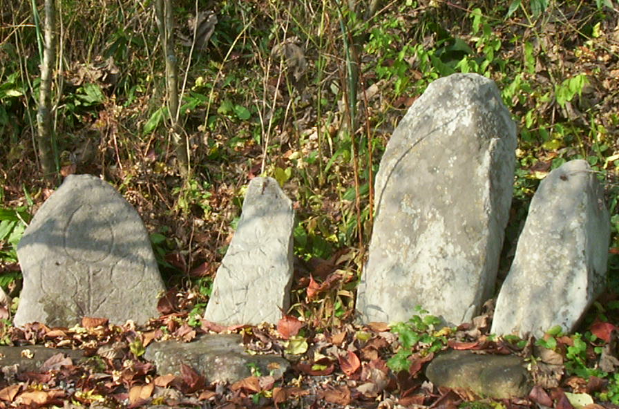 a0029157_1664476.jpg