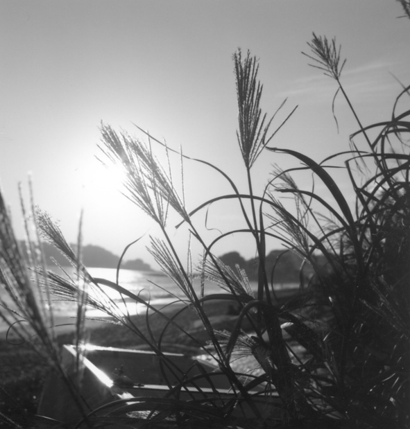 b0051033_23253461.jpg