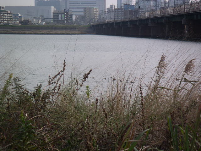 b0060646_121575.jpg
