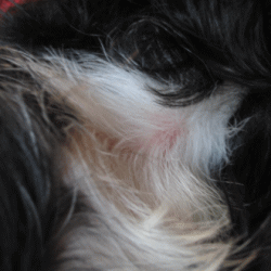 b0035453_18385946.gif