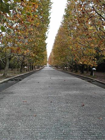 a0019854_21212527.jpg