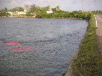 b0063132_232939.jpg