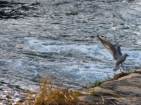 a0024250_053727.jpg