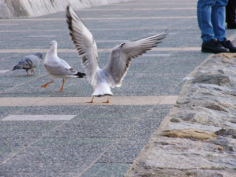 a0024250_061438.jpg