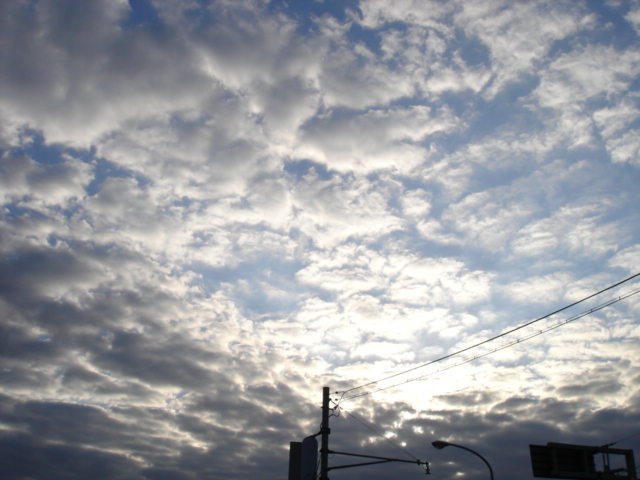 a0026254_32423.jpg