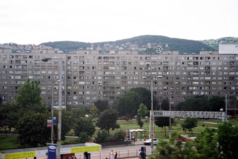 b0040345_163037.jpg