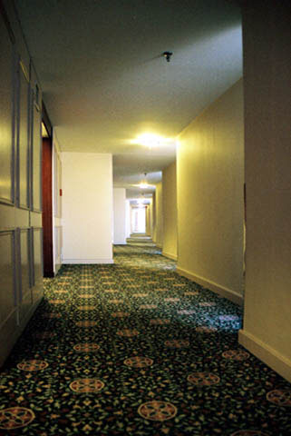 b0040345_16555.jpg