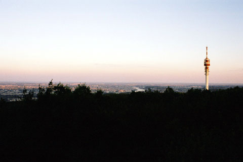 b0040345_192847.jpg