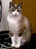 a0013479_1242322.jpg
