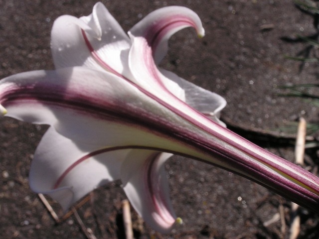 a0018655_921985.jpg