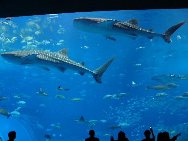 b0024266_2311064.jpg
