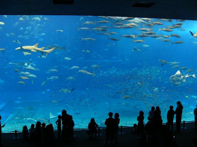 b0024266_2311711.jpg