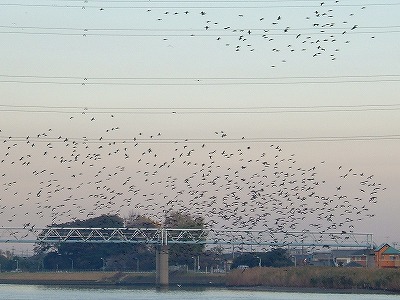 a0034419_9292475.jpg