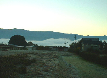 b0015260_854584.jpg