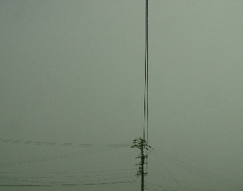 b0015260_8572037.jpg