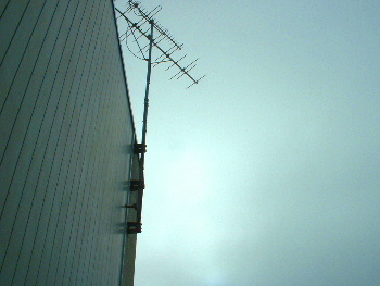 b0015260_8573246.jpg
