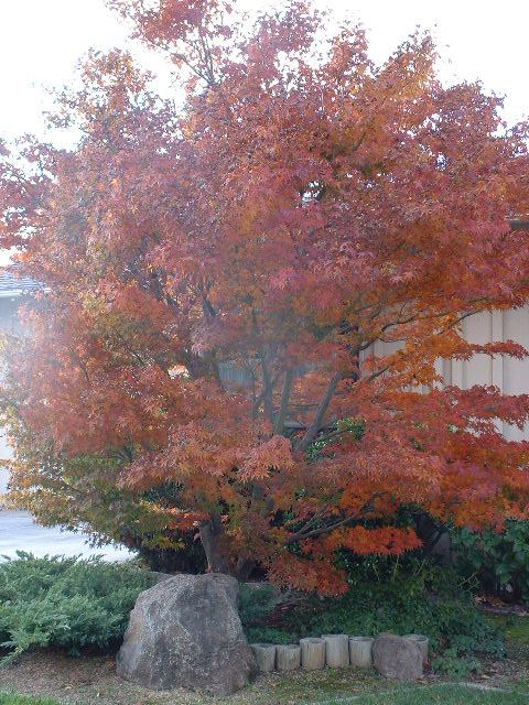 b0059565_9141553.jpg