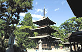 b0058229_1002927.jpg