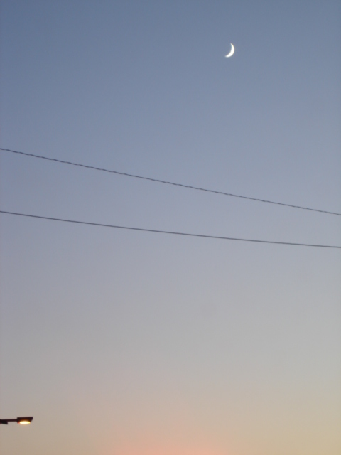 a0026254_134149.jpg