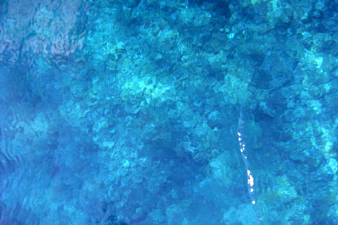 b0065698_21559100.jpg