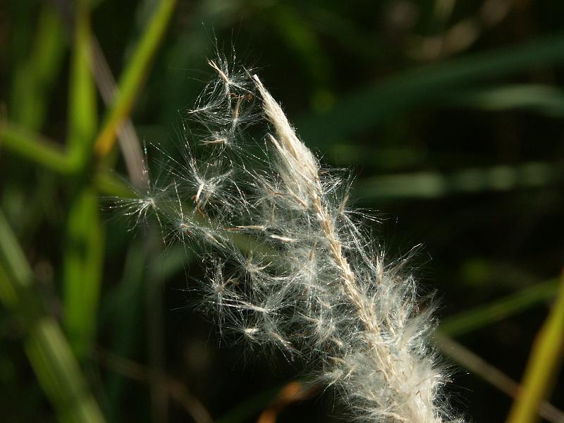 b0039226_2258345.jpg