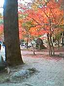 b0052317_2254389.jpg