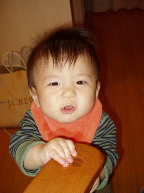 b0015047_1465065.jpg