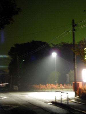 a0024250_6343225.jpg
