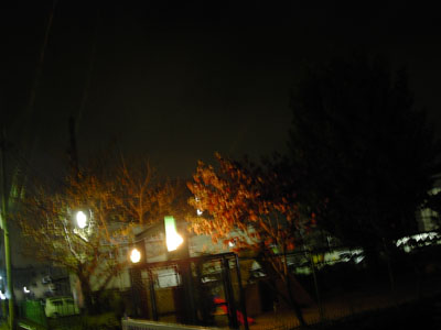 a0024250_635795.jpg