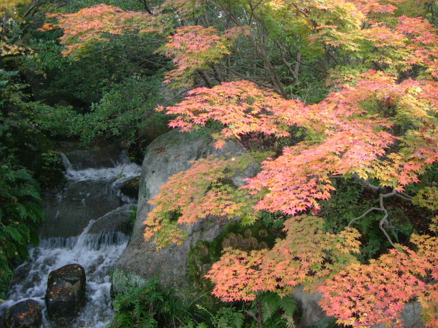 b0055171_23444670.jpg