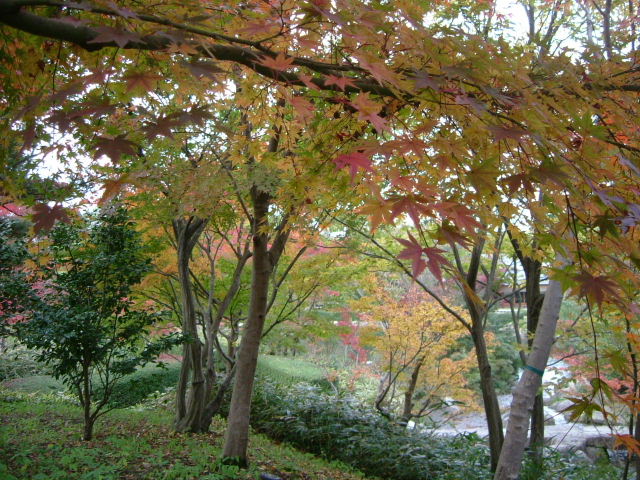 b0055171_234473.jpg
