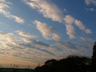 a0034419_15295619.jpg