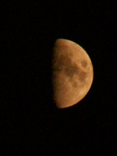 a0034419_15301971.jpg