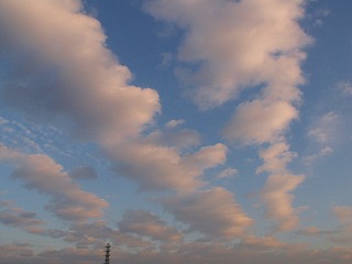 a0034419_1604256.jpg