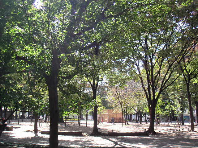 b0060646_9392532.jpg