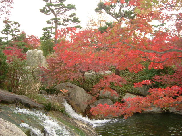 b0055171_951118.jpg