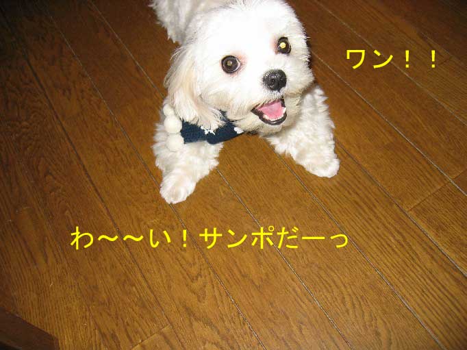 b0060071_1725222.jpg