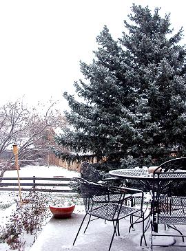 b0001980_20113417.jpg