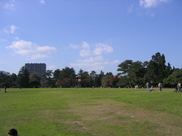 a0030217_8433496.jpg