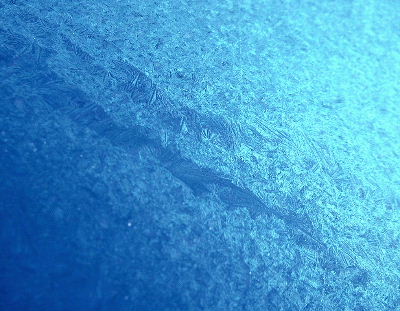 b0015260_920193.jpg