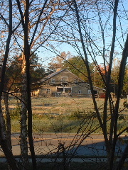b0001284_5493815.jpg