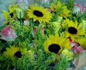 b0007895_22154610.jpg