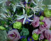 b0007895_2220583.jpg